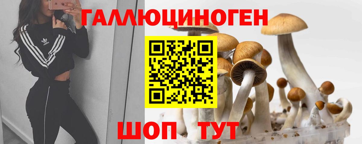 Ангарск  Галлюциногенные грибы GOLDEN TEACHER  Вход с VPN 
